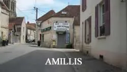 epaviste à proximité de amillis