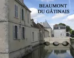 epaviste autours de beaumont-du-gâtinais