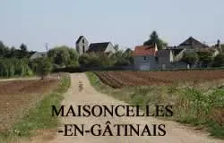 epaviste autours de maisoncelles-en-gâtinais