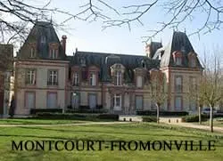 epaviste gratuit montcourt-fromonville