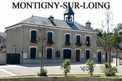 epaviste à proximité de montigny-sur-loing
