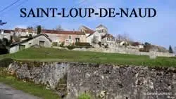 epaviste à proximité de saint-loup-de-naud