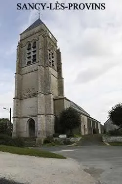 epaviste à proximité de sancy-lès-provins