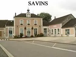epaviste autours de savins