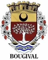 enlevement epave gratuit bougival