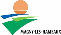 enlevement epave gratuit Magny-les-Hameaux