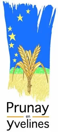 enlevement epave gratuit prunay-en-yvelines