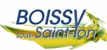 enlevement epave gratuit boissy-sous-saint-yon