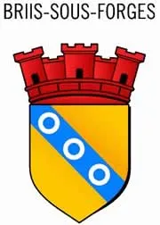 enlevement epave gratuit briis-sous-forges