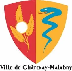 enlevement epave gratuit châtenay-malabry