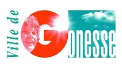 enlevement epave gratuit Gonesse