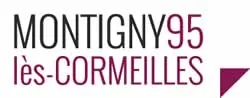 enlevement epave gratuit Montigny-lès-Cormeilles