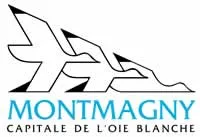 enlevement epave gratuit Montmagny