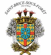 enlevement epave gratuit Saint-Brice-sous-Forêt