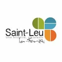 enlevement epave gratuit Saint-Leu-la-Forêt