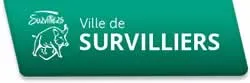 enlevement epave gratuit survilliers